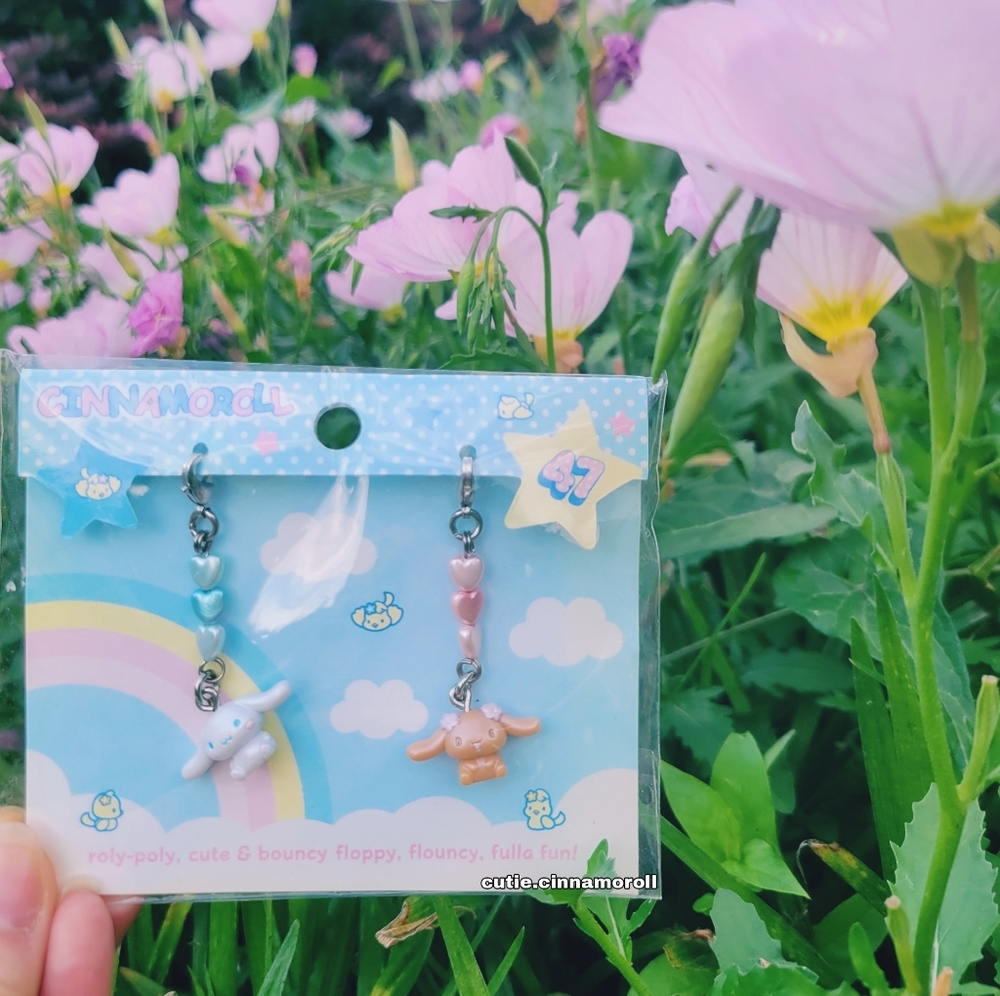 Cinnamoroll & Mocha Charms